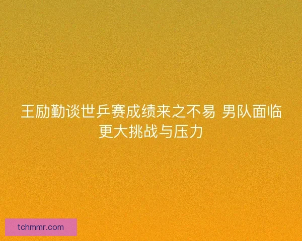 王励勤谈世乒赛成绩来之不易 男队面临更大挑战与压力